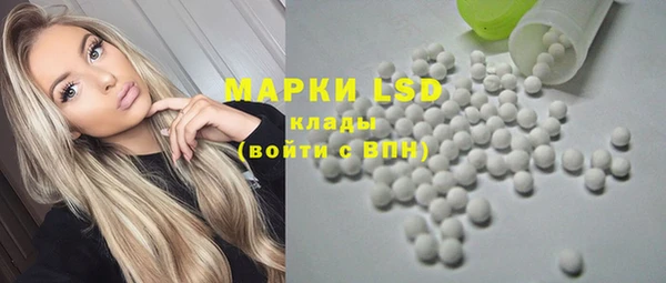PSILOCYBIN Заводоуковск