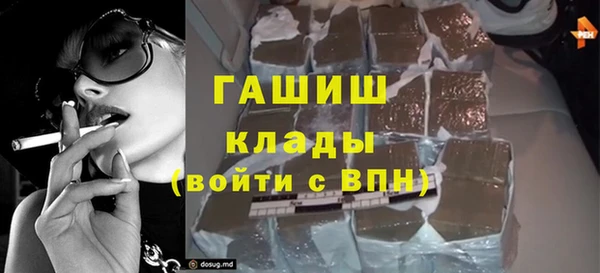 прущие грибы Алзамай