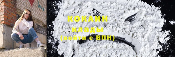 кокс Алексин