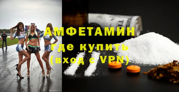 прущие грибы Алзамай