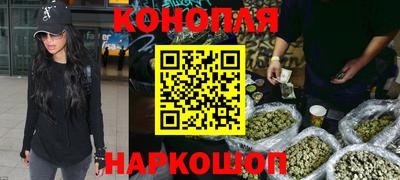 сатива Бузулук