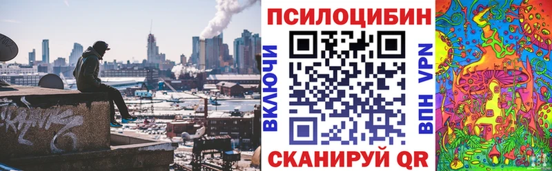 Галлюциногенные грибы мицелий  цена наркотик  Лесной 