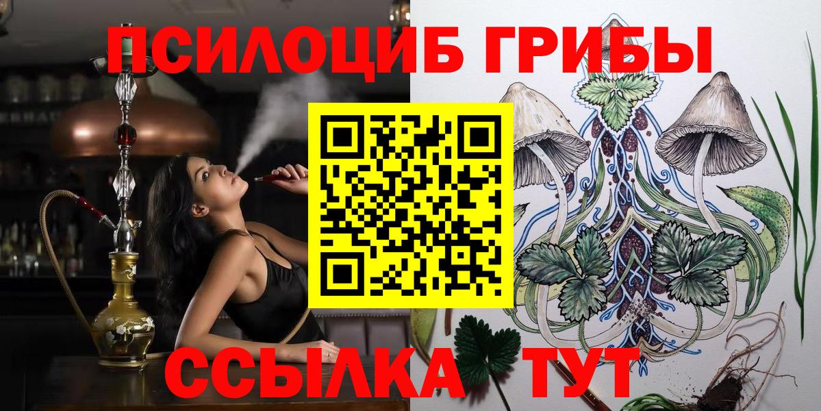 Галлюциногенные грибы прущие грибы Лесной