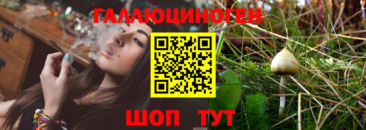 Лесной  Галлюциногенные грибы GOLDEN TEACHER  Вход с VPN 